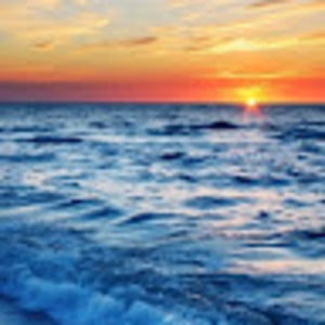 Meet your Posher, Pam